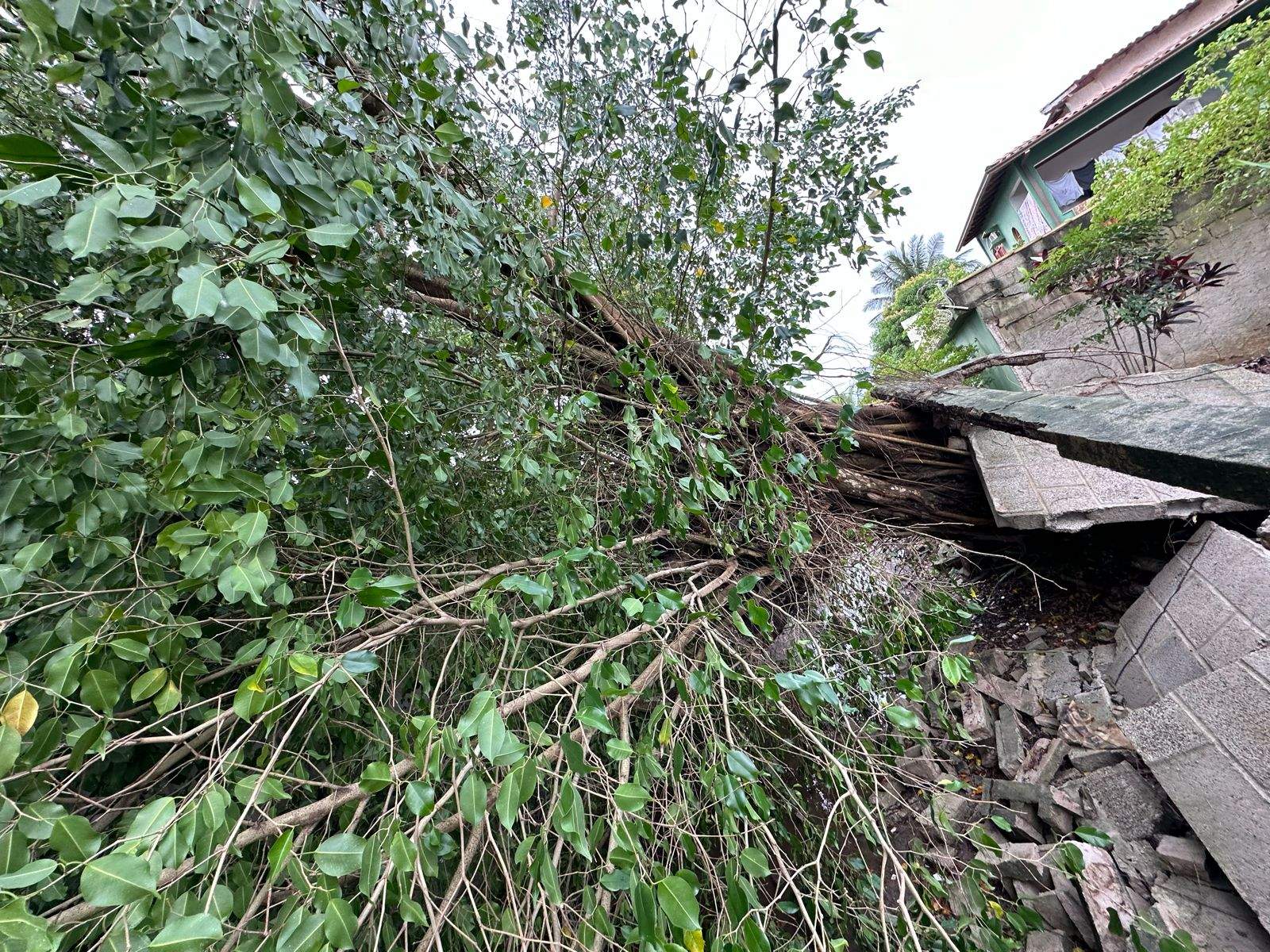 Ap S Tr S Dias Moradores Ainda Sofrem Estragos Causados Por