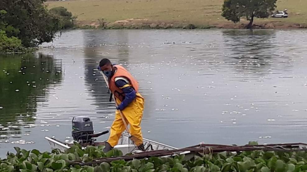 Lagoa De Linhares Amanhece Milhares De Peixes Mortos