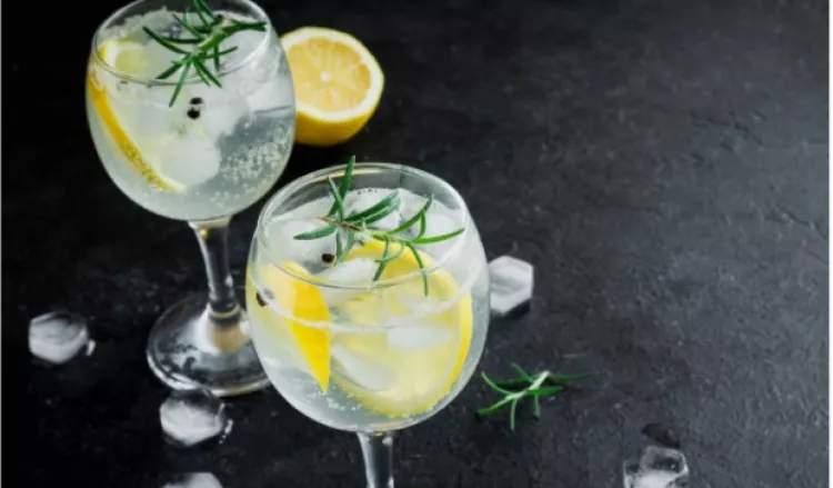 Gin T Nica Veja Receitas Diferentes Para Drinks Gin