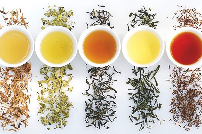 ¿Cuáles son los mejores tés para bajar de peso?  Ver menú y recetas