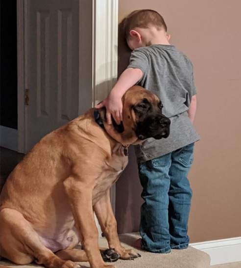 Resultado de imagem para Mãe dá castigo para filho e cachorro acompanha na punição