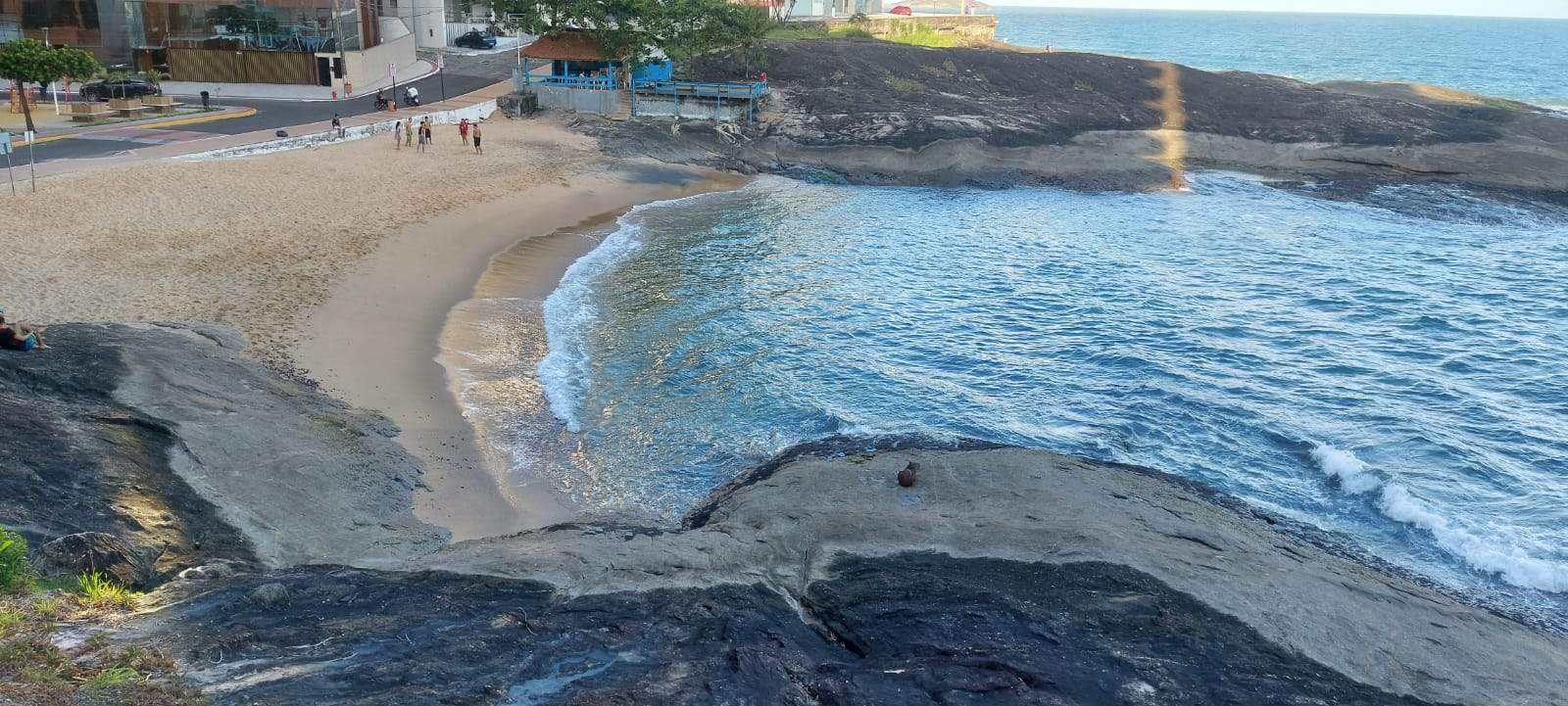 Vídeo mostra capivara se refrescando na praia de Santa Clara