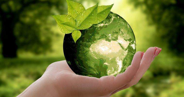 El Día Mundial del Medio Ambiente se celebrará el 5 de junio
