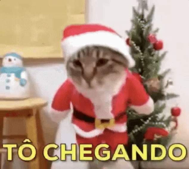 Veja 10 memes engraçados de Natal para você enviar no grupo da família