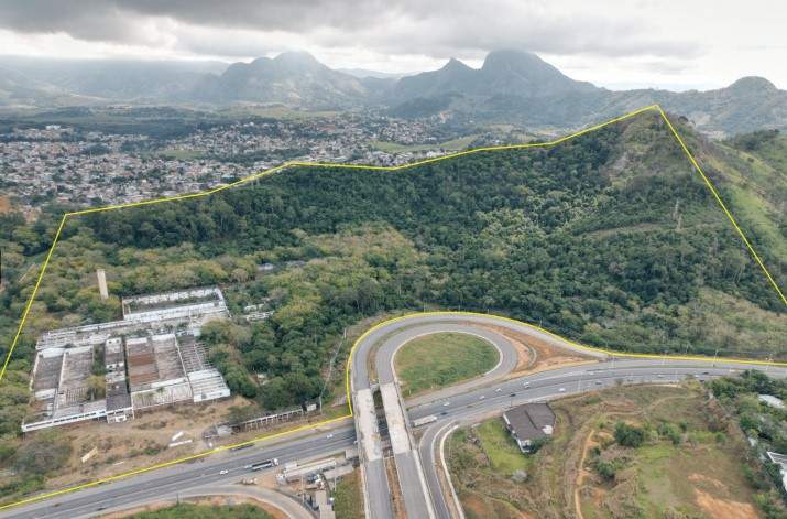 Túnel do Tempo Leilões