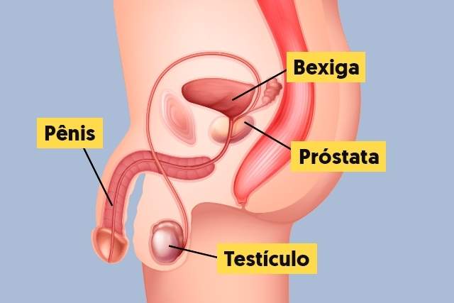 Prostatita – cauze, diagnostic, tratamente medicale, remedii naturiste și suplimente naturale