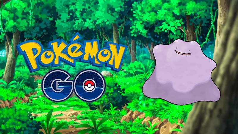 Pokemon Ditto 854