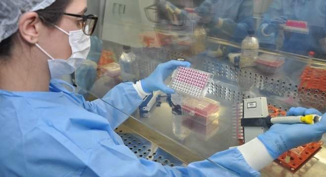 Brasil avança em pesquisas de vacina contra o novo coronavírus
