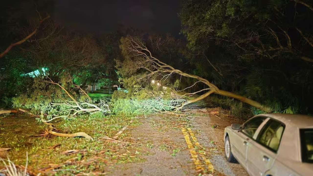 Imagem da matéria