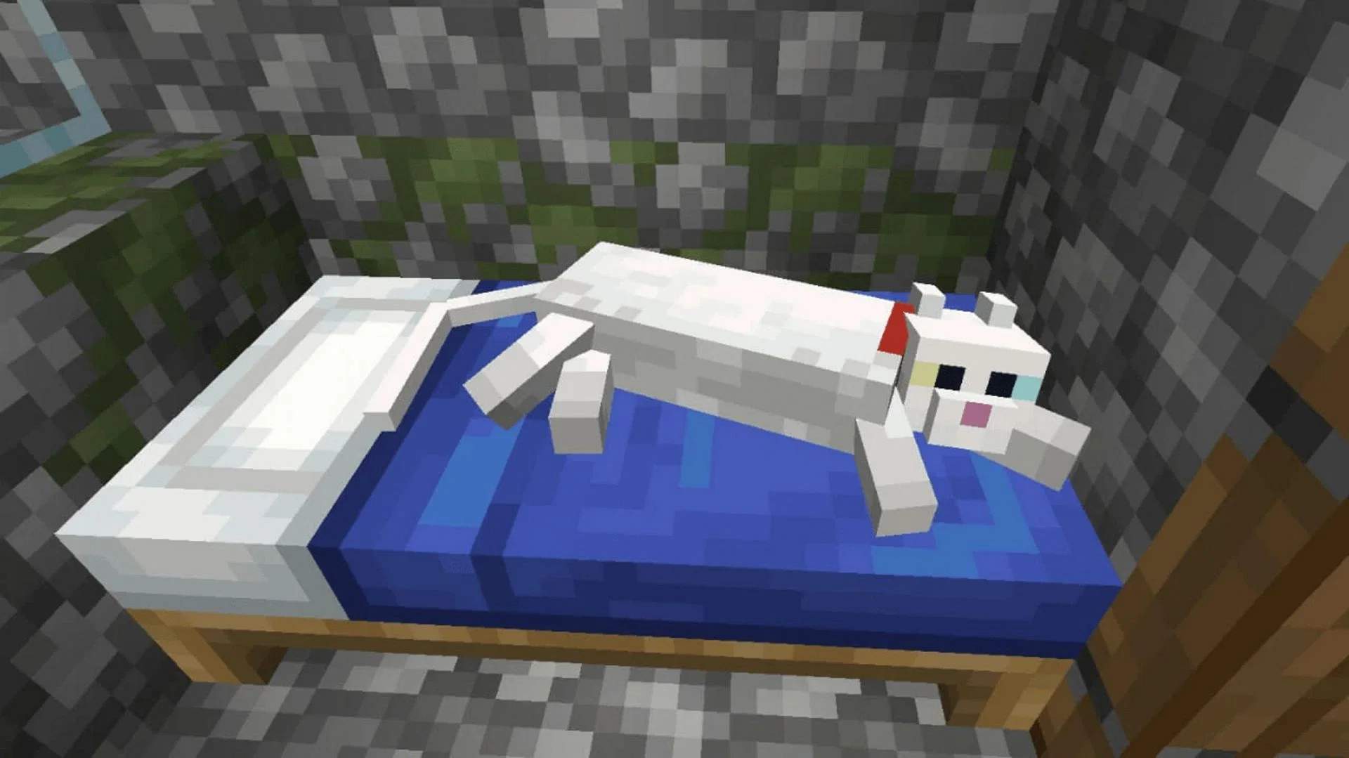 Minecraft - Como domar um gato no jogo