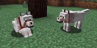 Minecraft - Como domar um gato no jogo